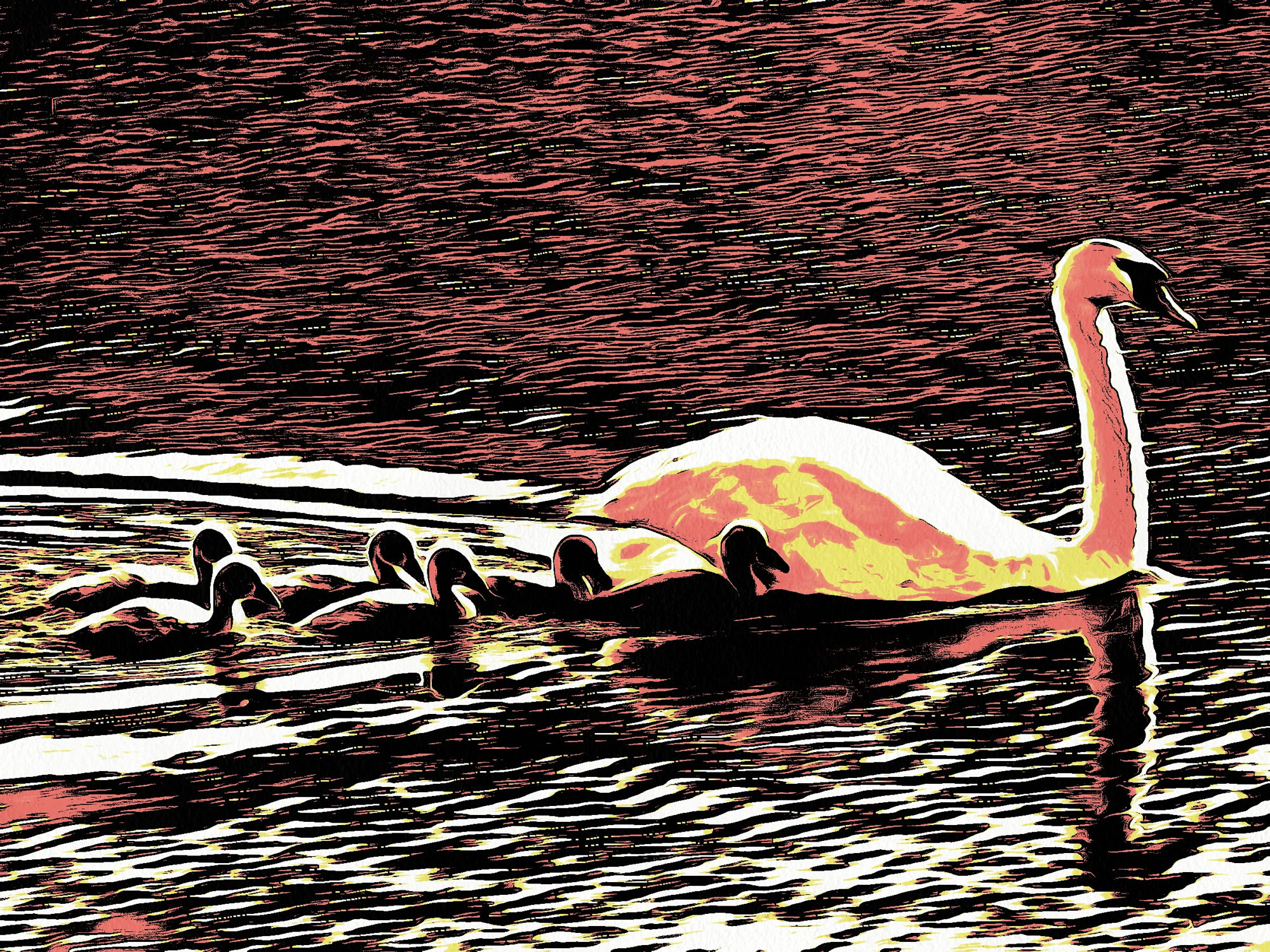 Swan art picture 50 - art image 4