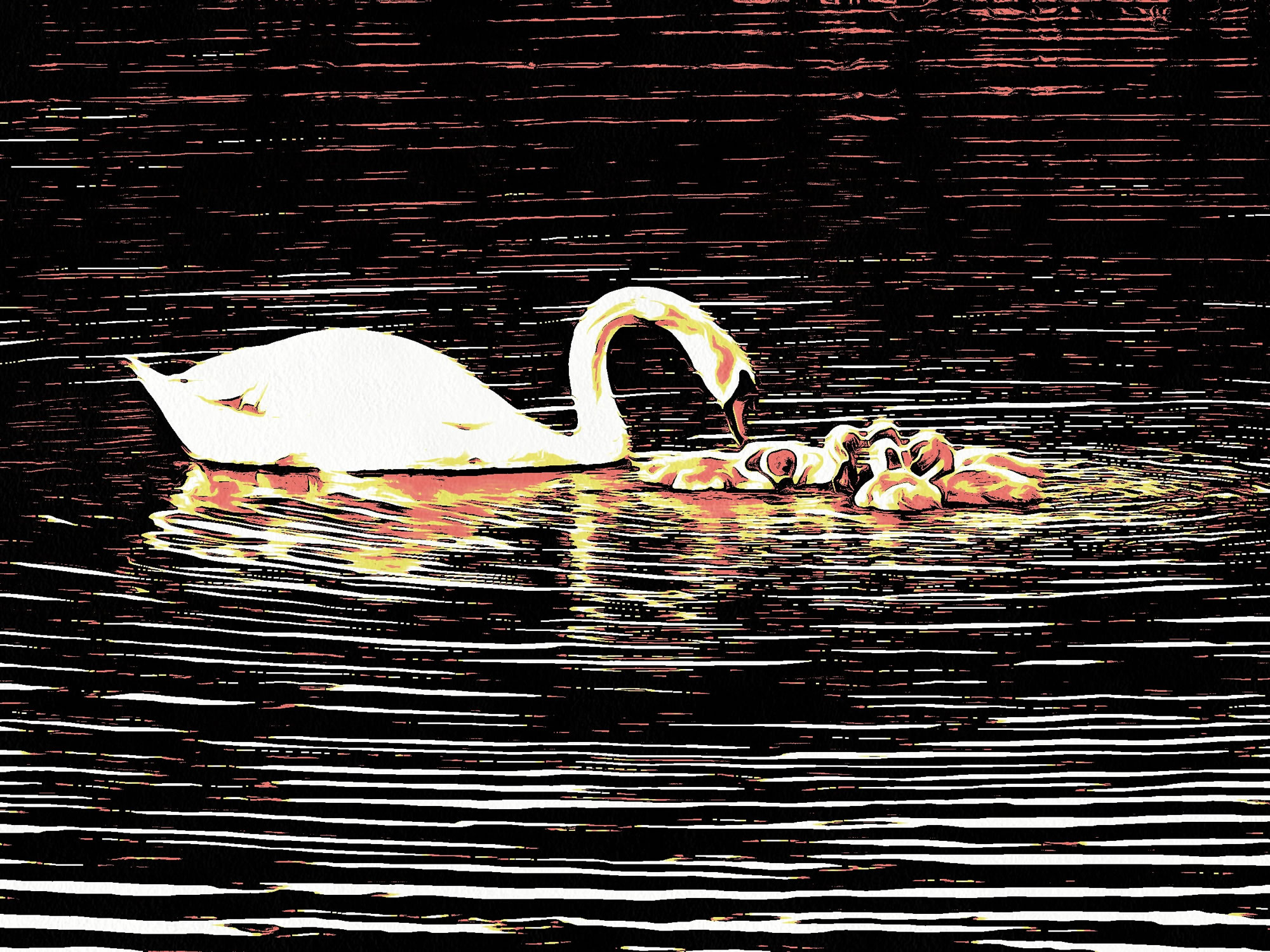 Swan art picture 56 - art image 4