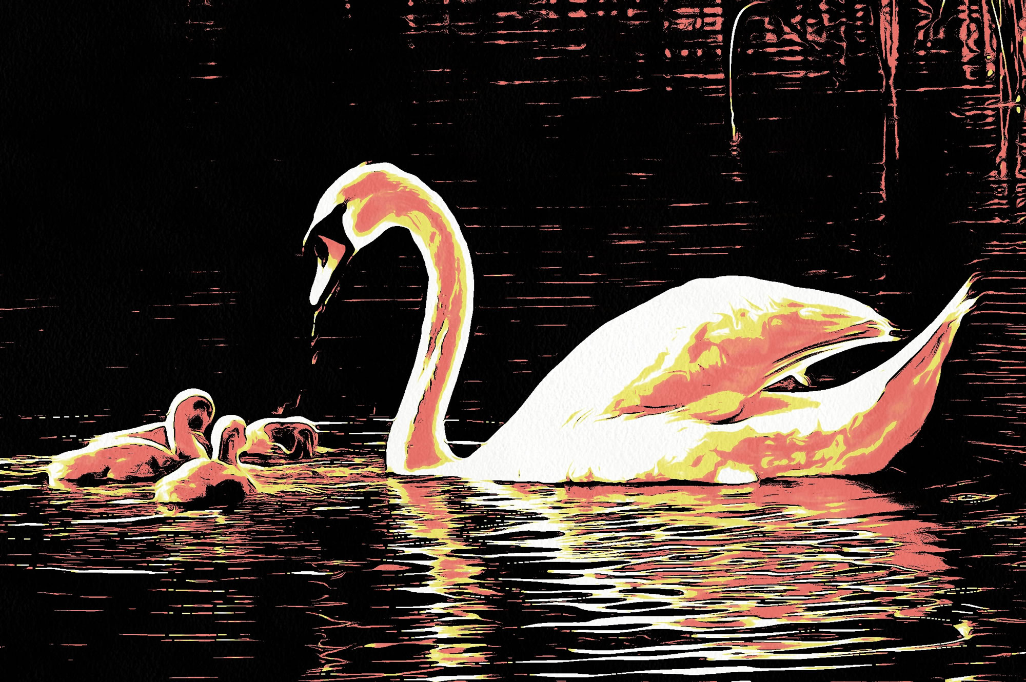 Swan art picture 59 - art image 4