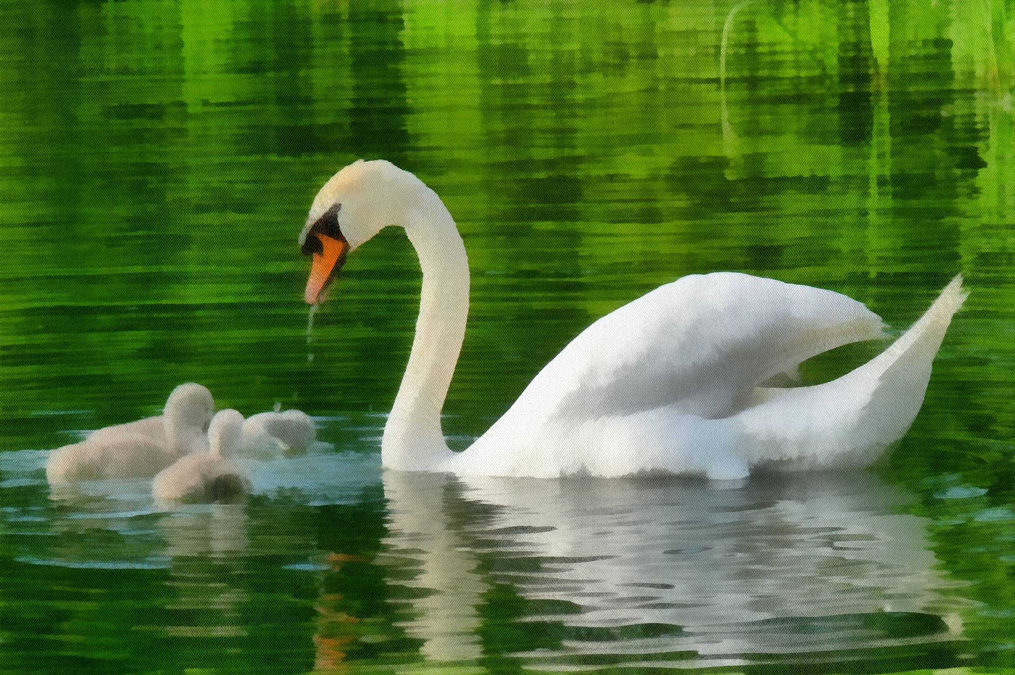 Swan art picture 59 - art image 6
