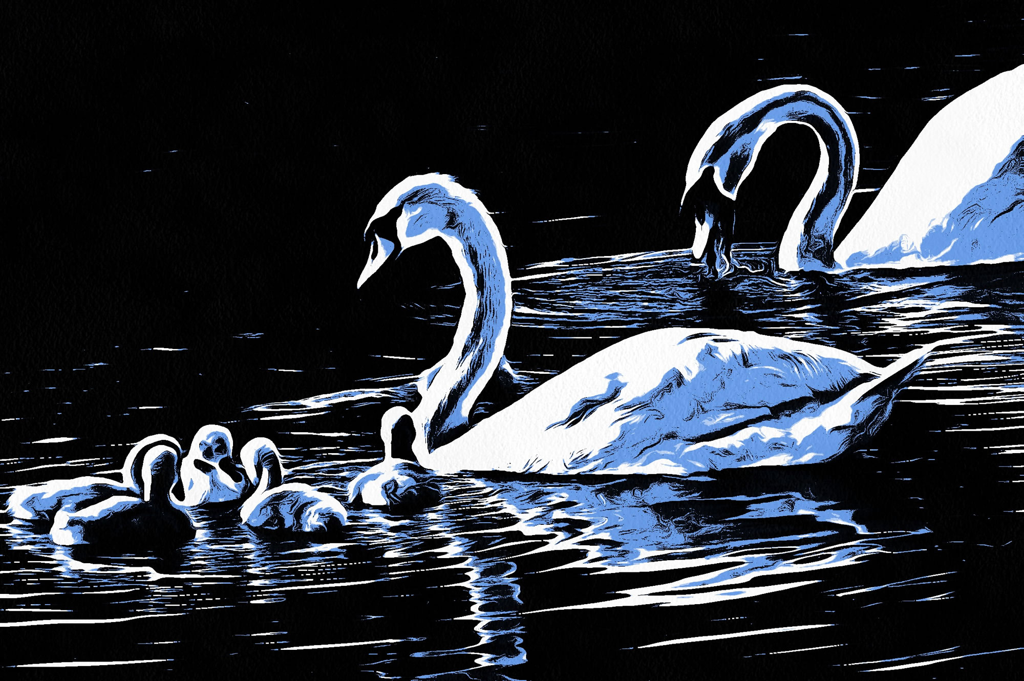 Swan art picture 60 - art image 7