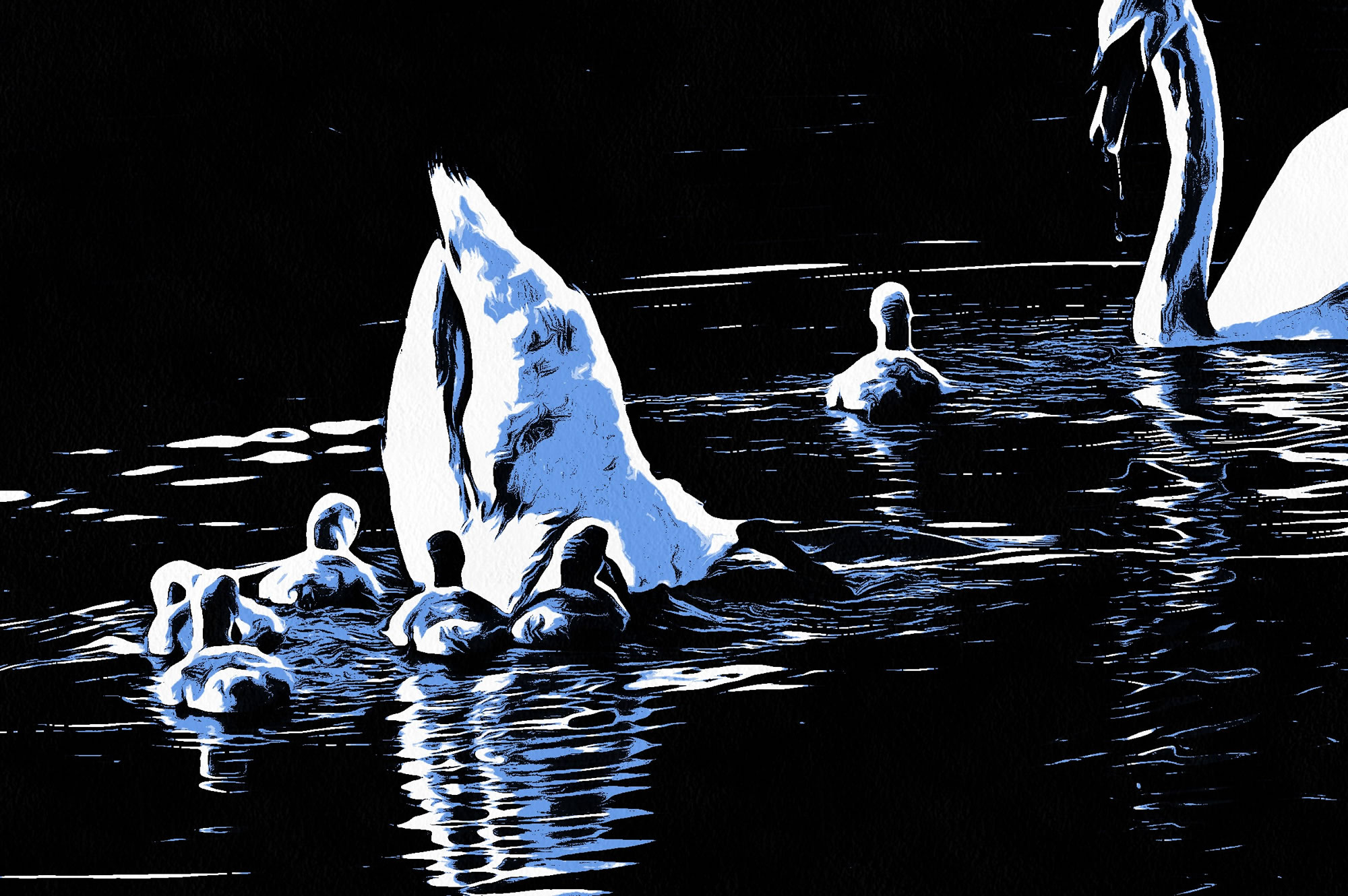 Swan art picture 62 - art image 7