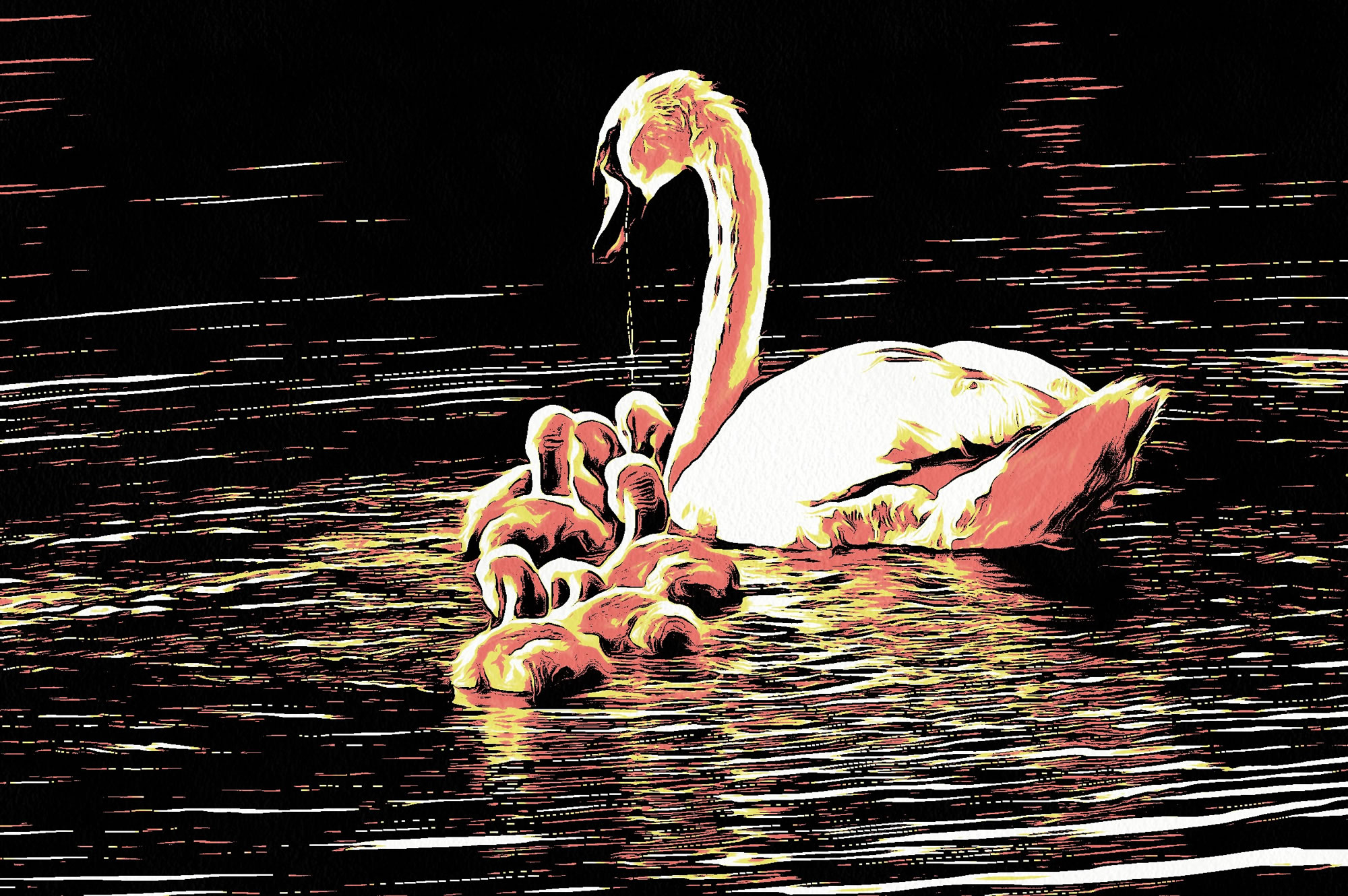 Swan art picture 63 - art image 4