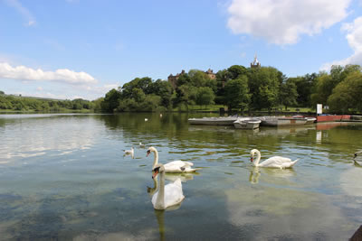 Picture of Linlithgow Loch - image 90
