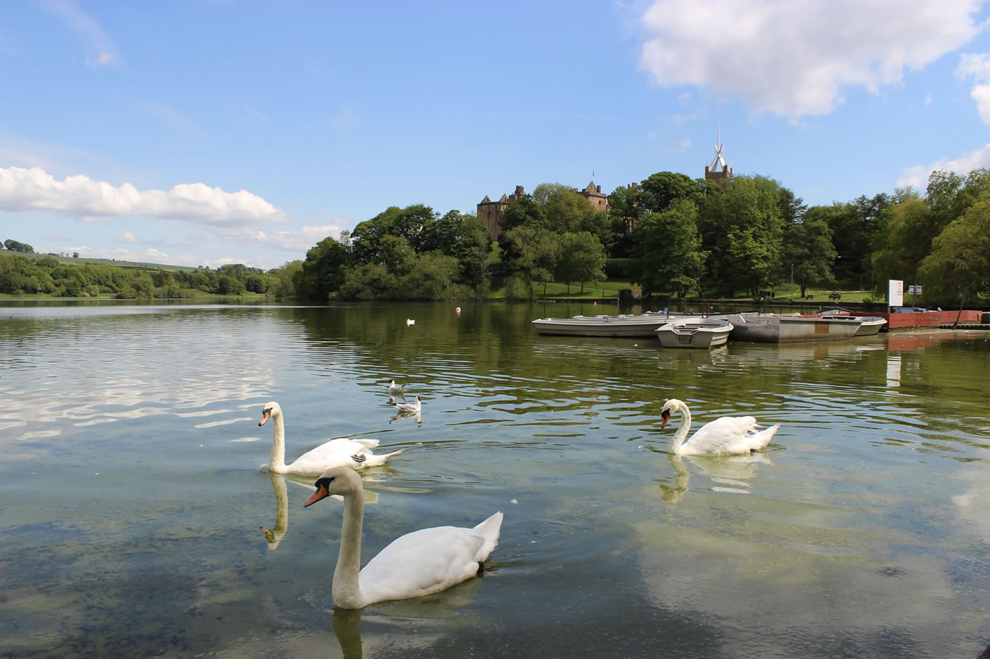 Linlithgow Loch with Linlithgow Palace in Scotland in the background.